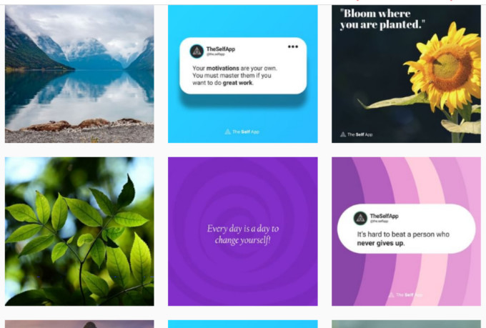 be your social media marketing manager and content creator